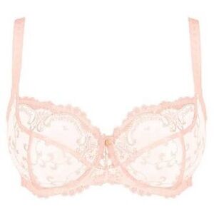 Carmen Sheer Lace Underwire Bra in Light Blush by
